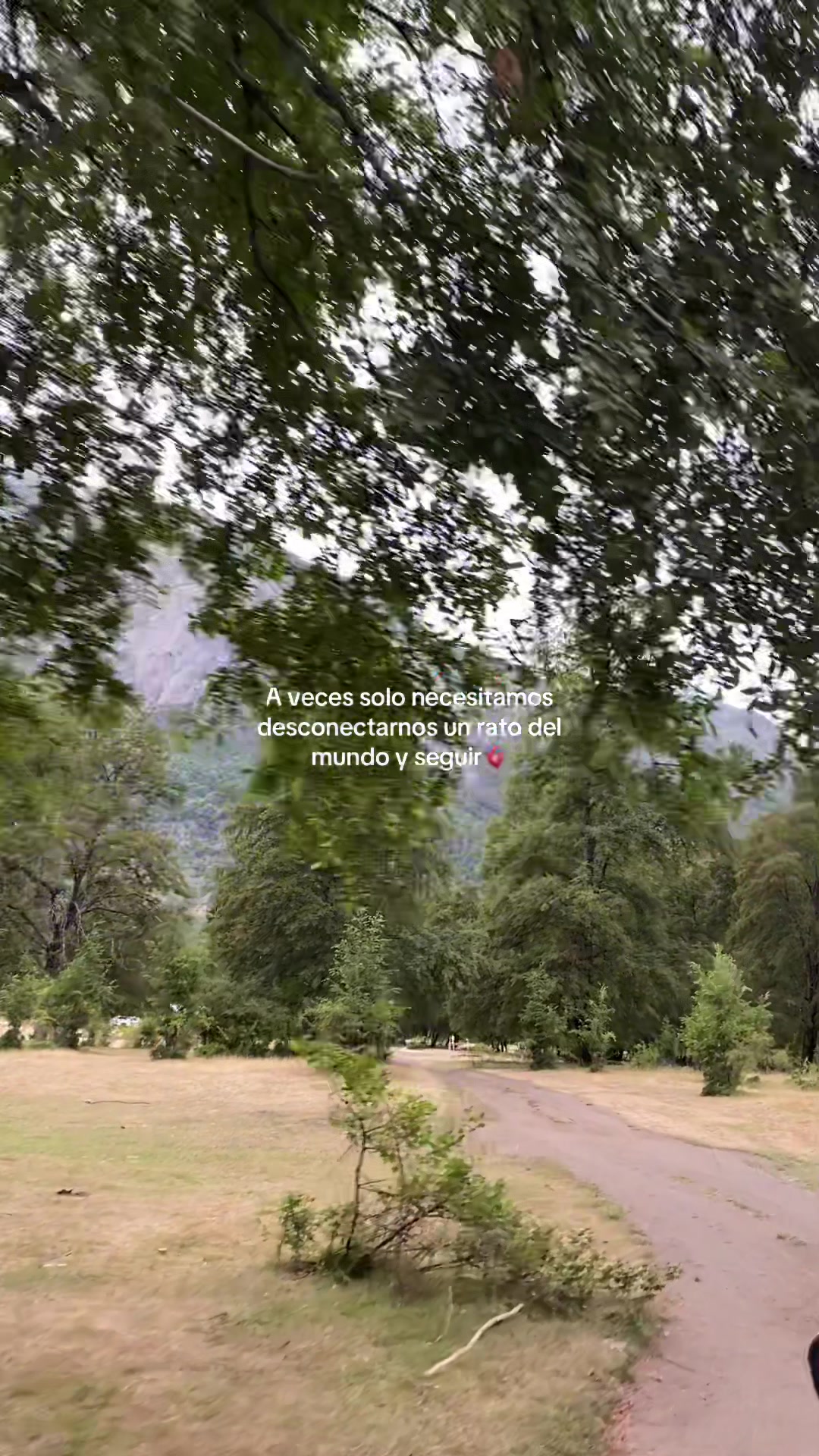 @merieee_.v