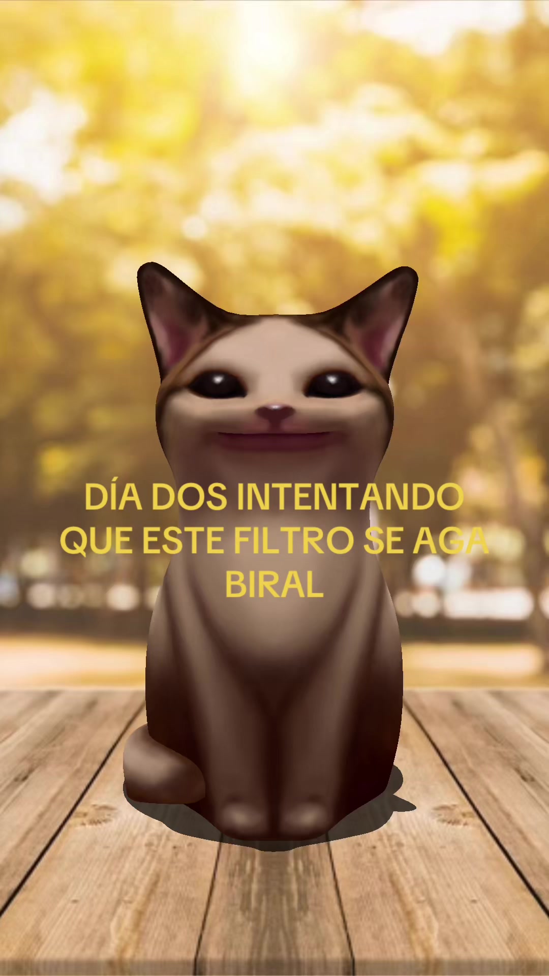 @Sofis