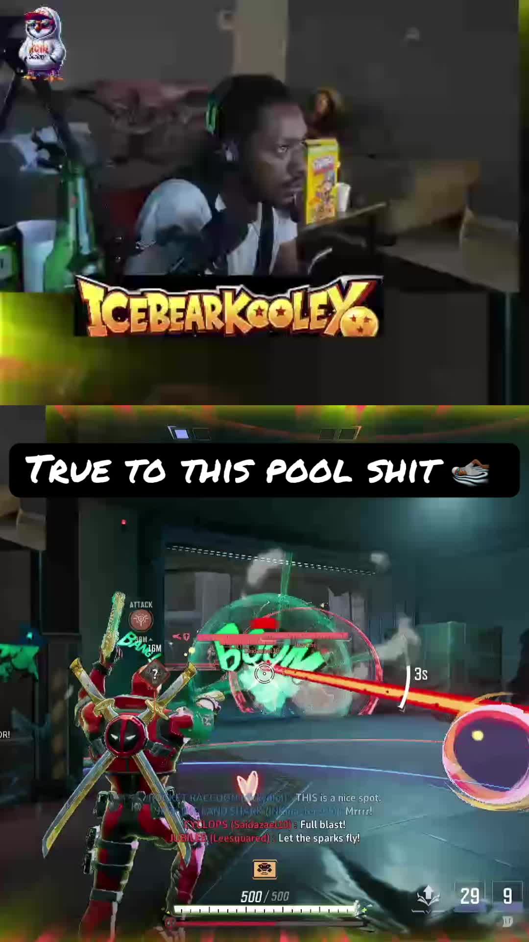 @icebearkooley