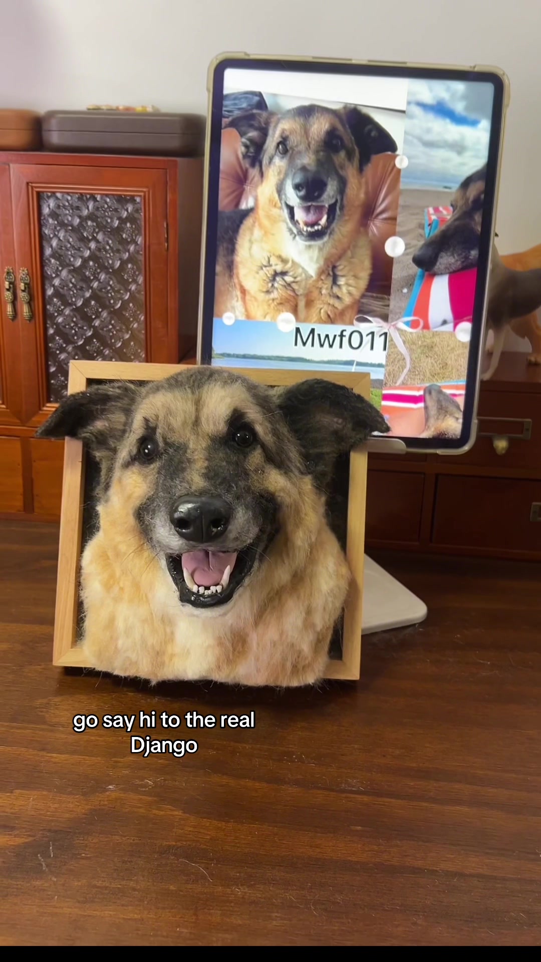 @Mywooleverfriend