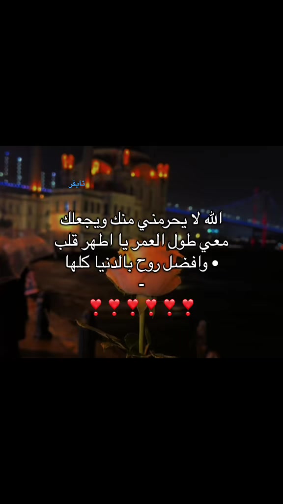 @تايقر- Tiger🌟