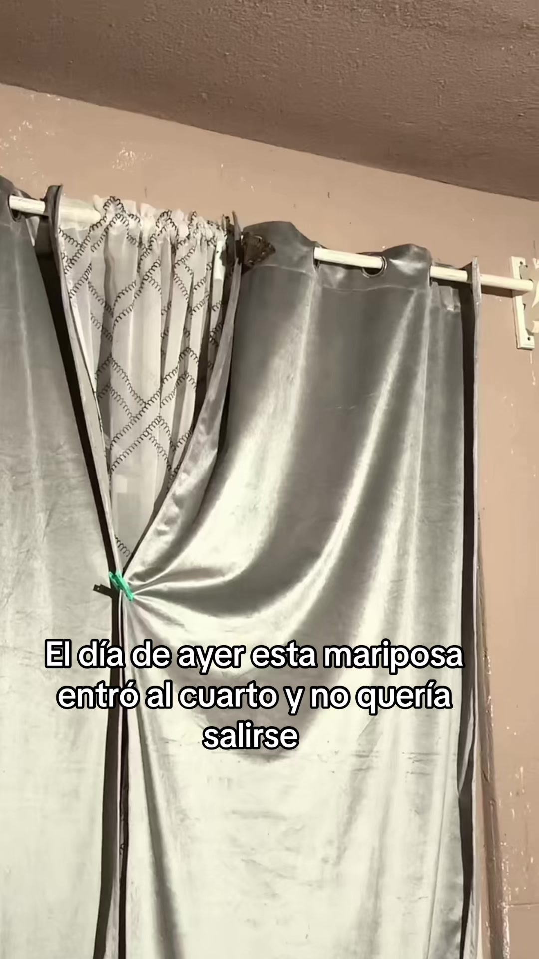 @Aly De Luna 🌙