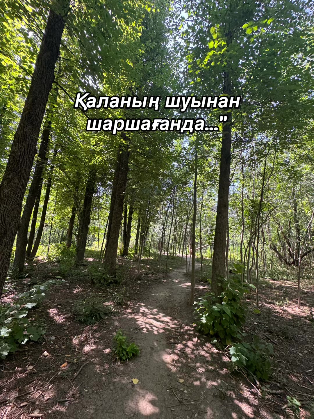 @Р.И.М