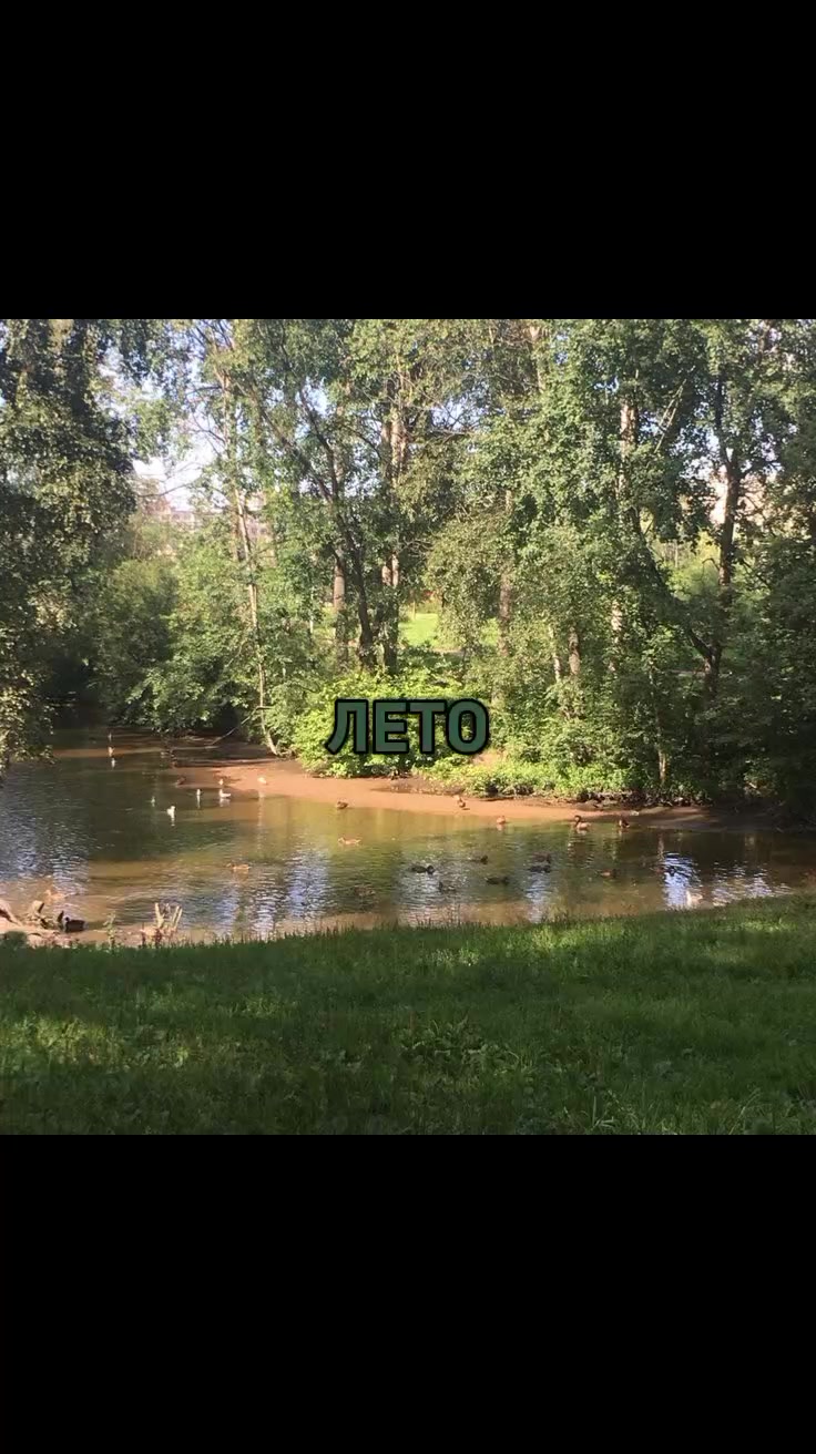 @🌾϶ᴧьɸ ᴧᴇᴛᴀ🍄