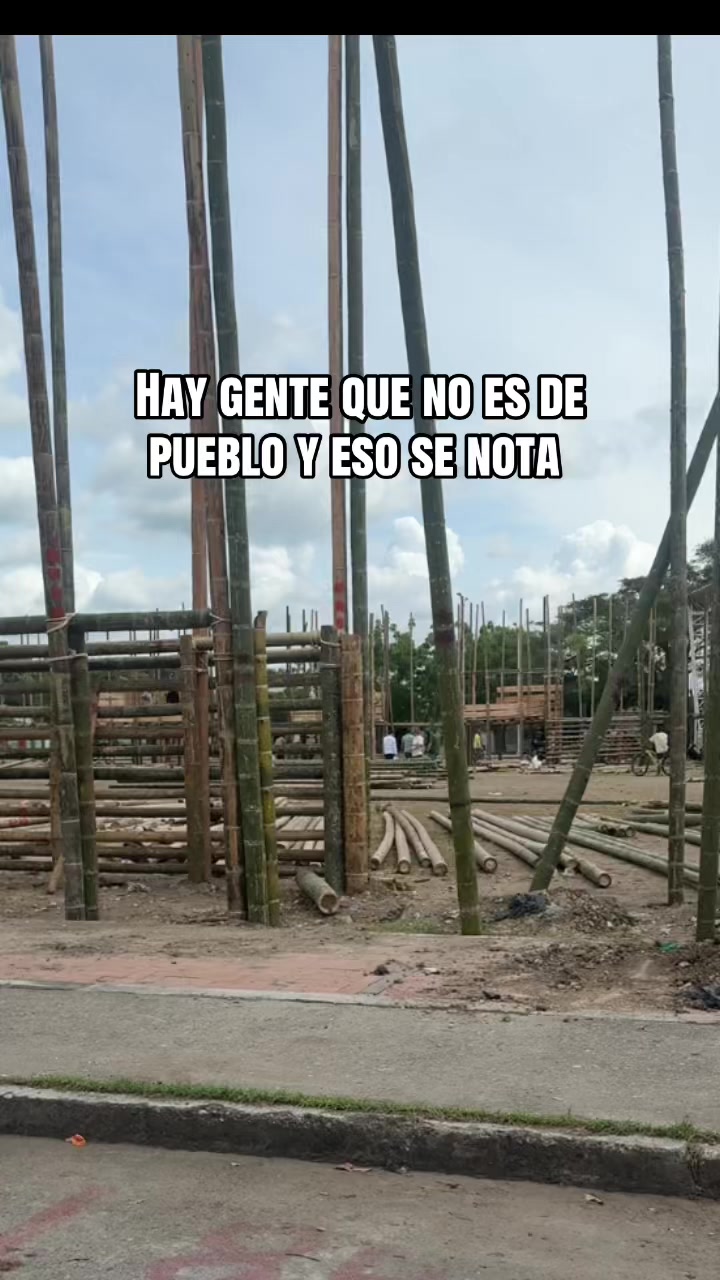 @catalinacerquerav