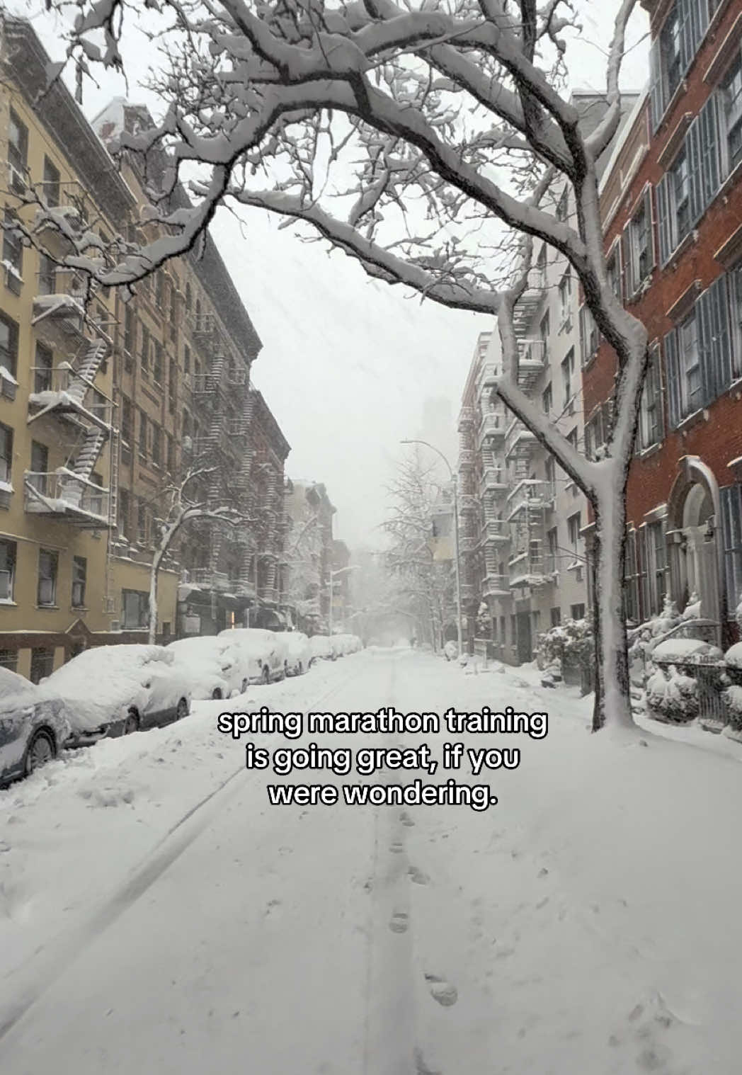 @franny