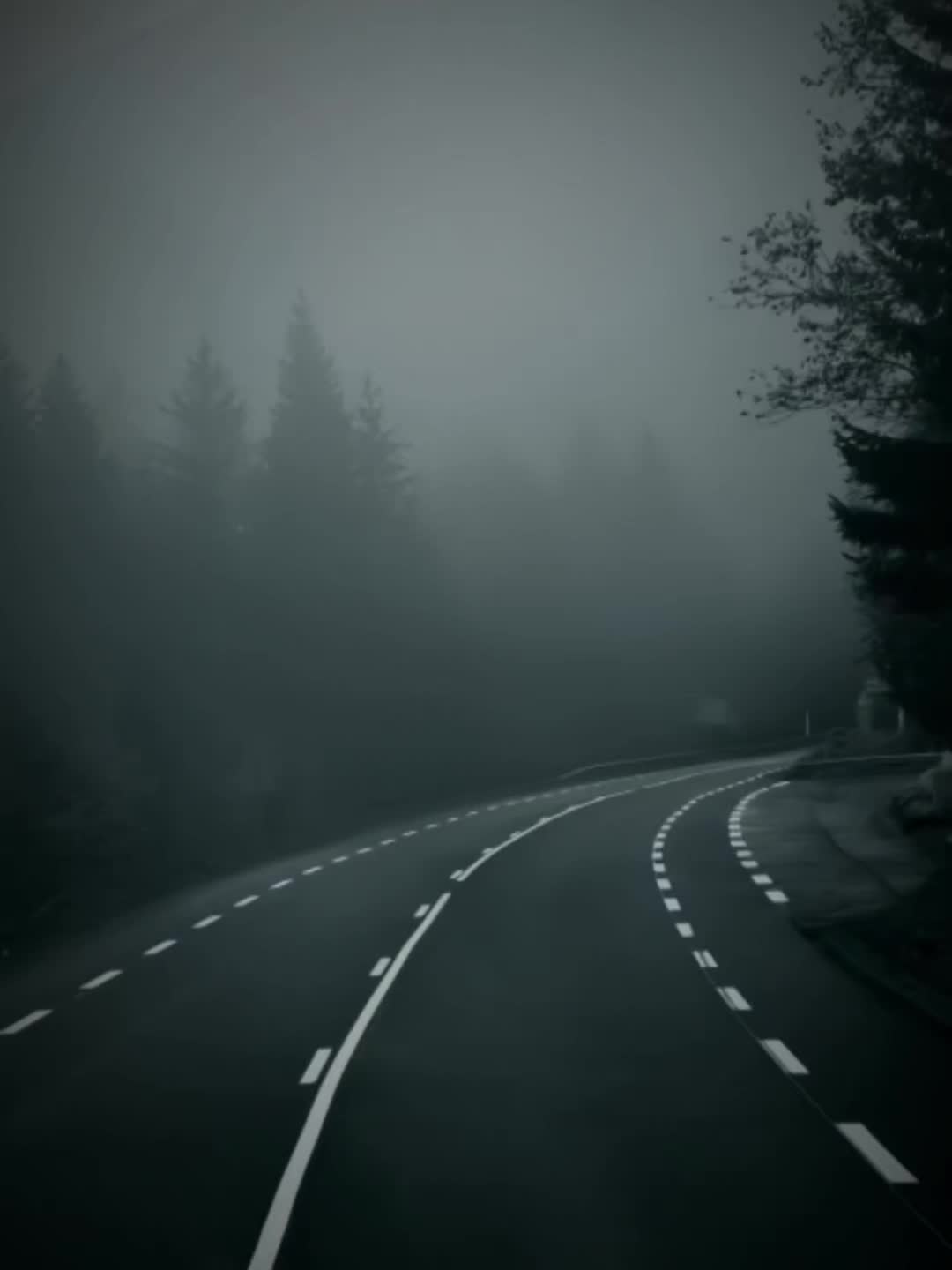 @elioo