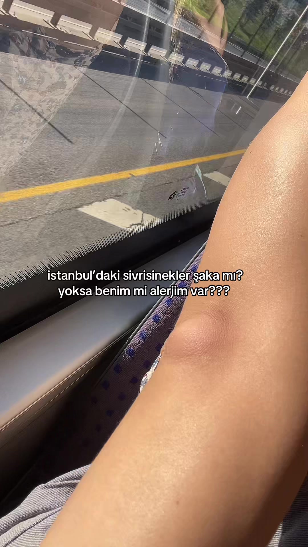 @zera