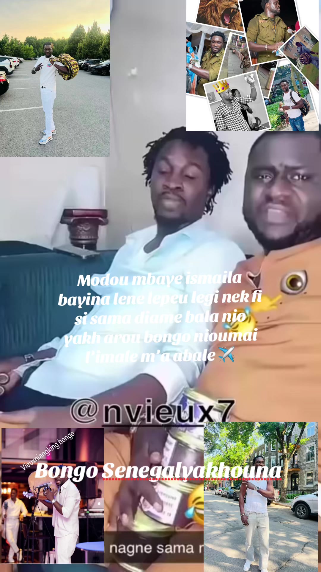 @vieuxniangkingbongo🇺🇸🇨🇦
