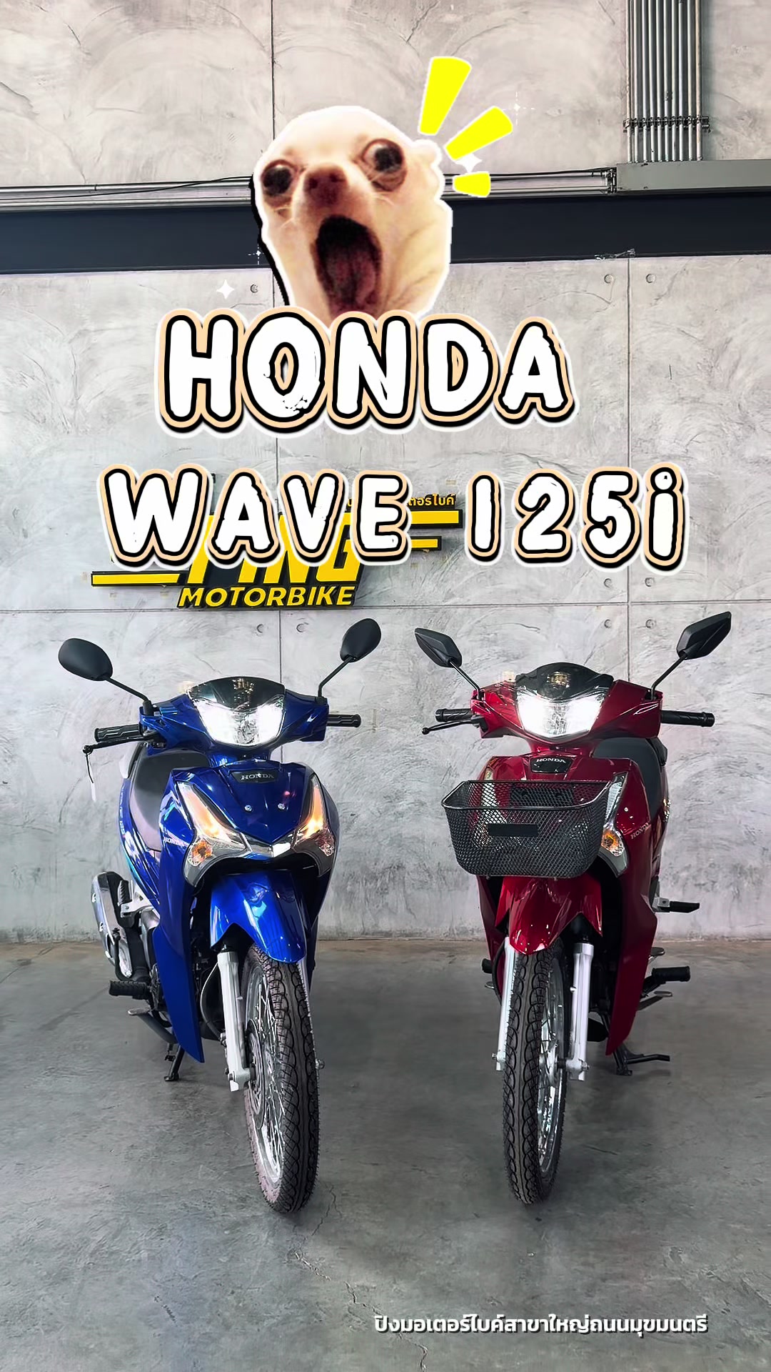 @Pingmotorbike