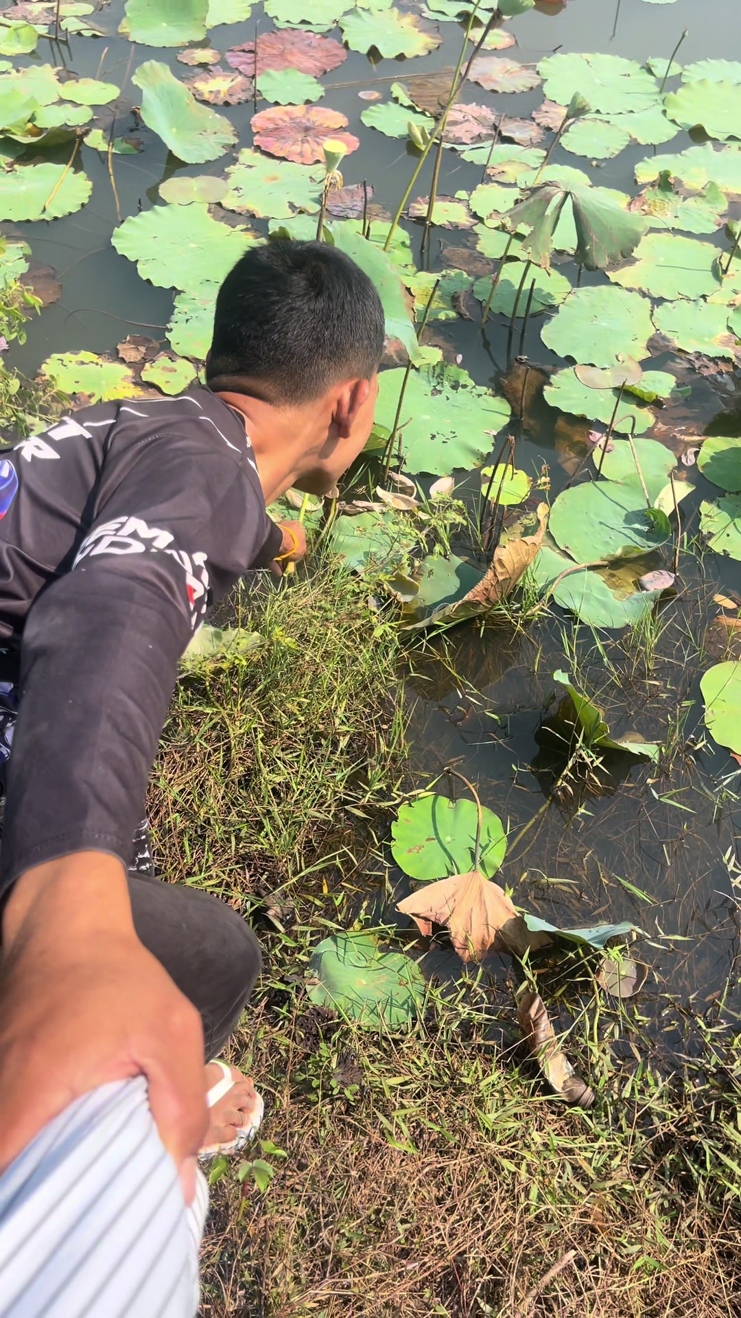 @សុវណ្ណានី