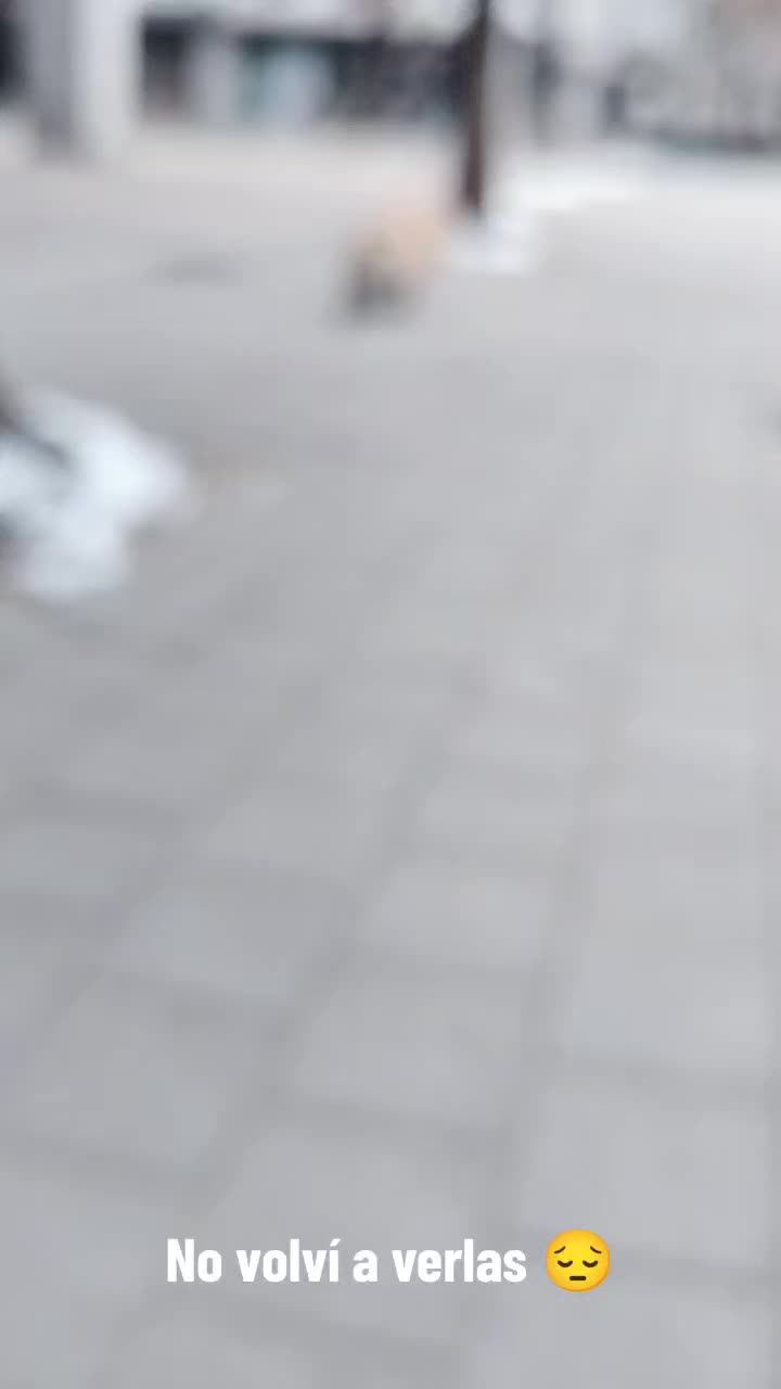 @Selynpr-KOREA🫶