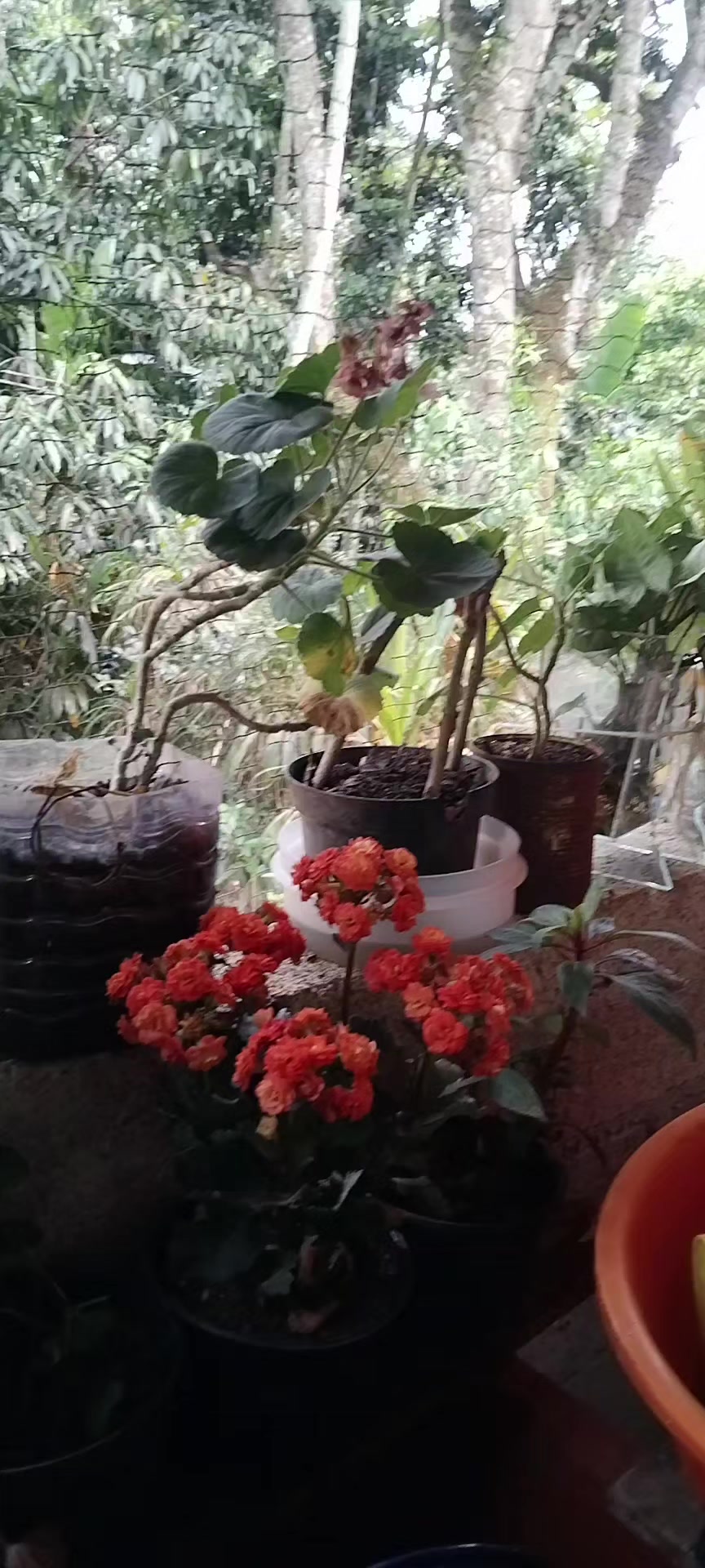 @🧡Mary, orduña