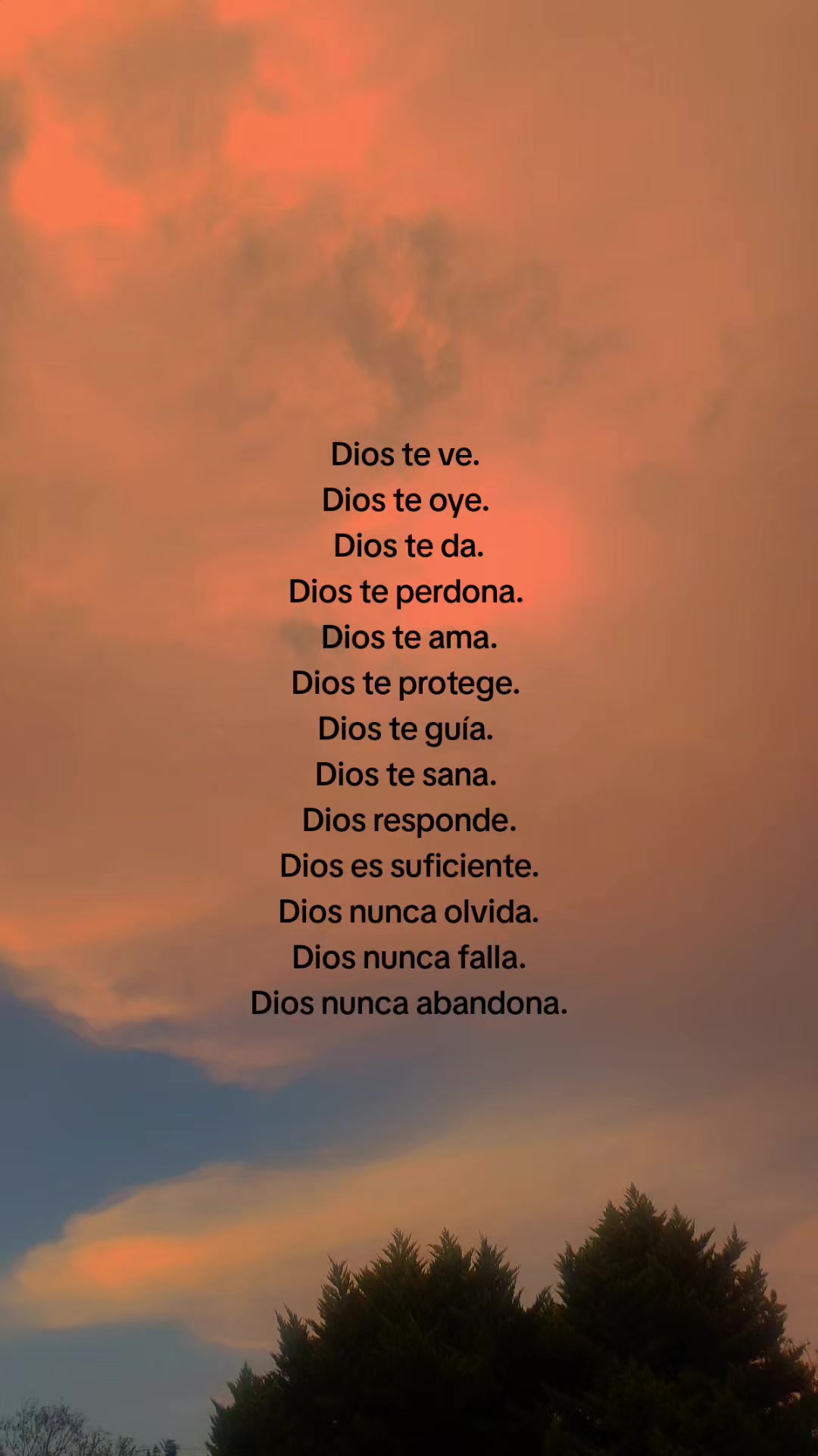 @~Chapincito.502~