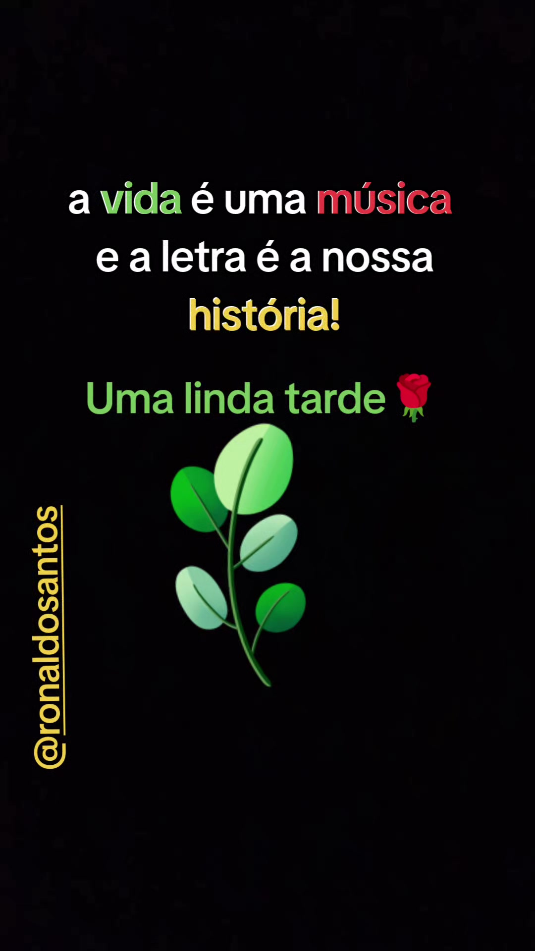 @ronaldosantos