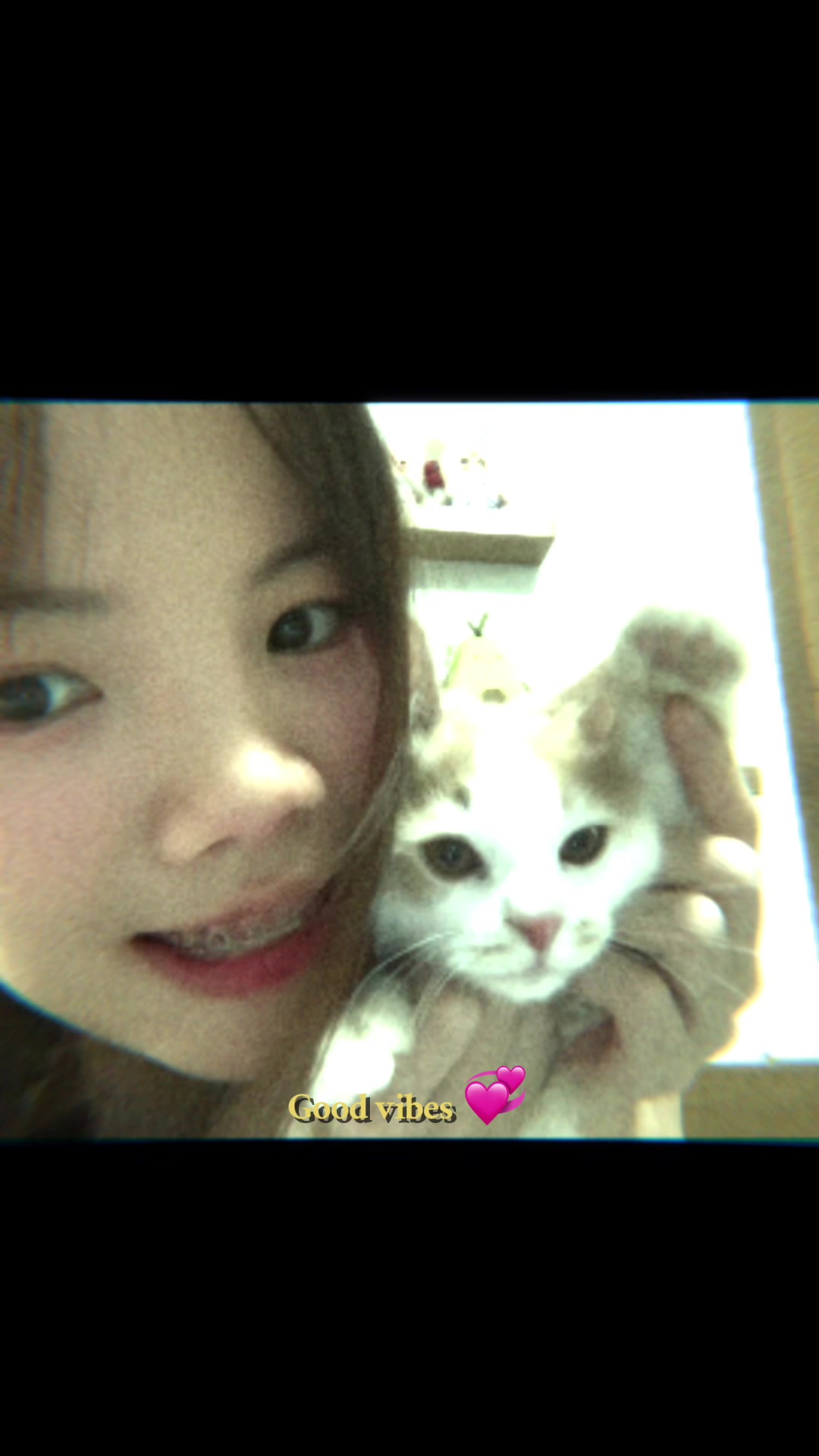 @ฟิ๊ลิมชอบเติมแมว🐰🌷