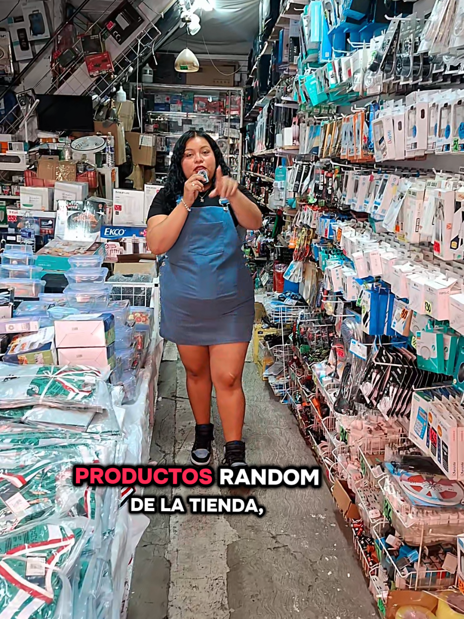 @Electrónica Fany