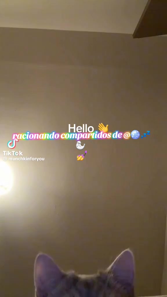 @✯𐂂(≧◡≦){𝒜𝓊𝓇ℴ𝓇𝒶}(≧◡≦)𐂂✯