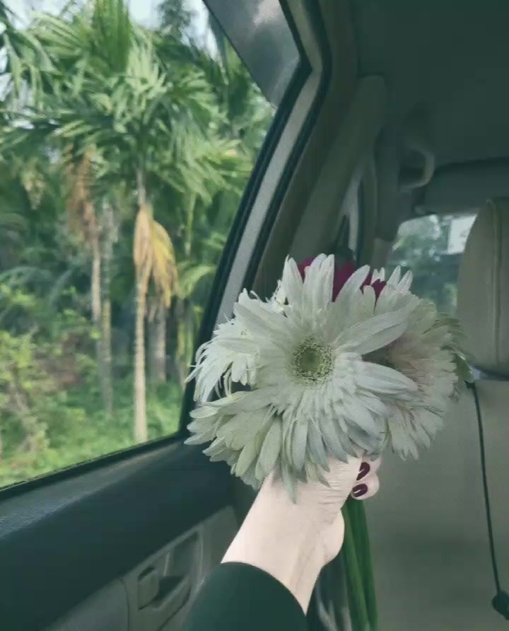 @𝐌𝐞𝐡𝐮𝐮 🕊️