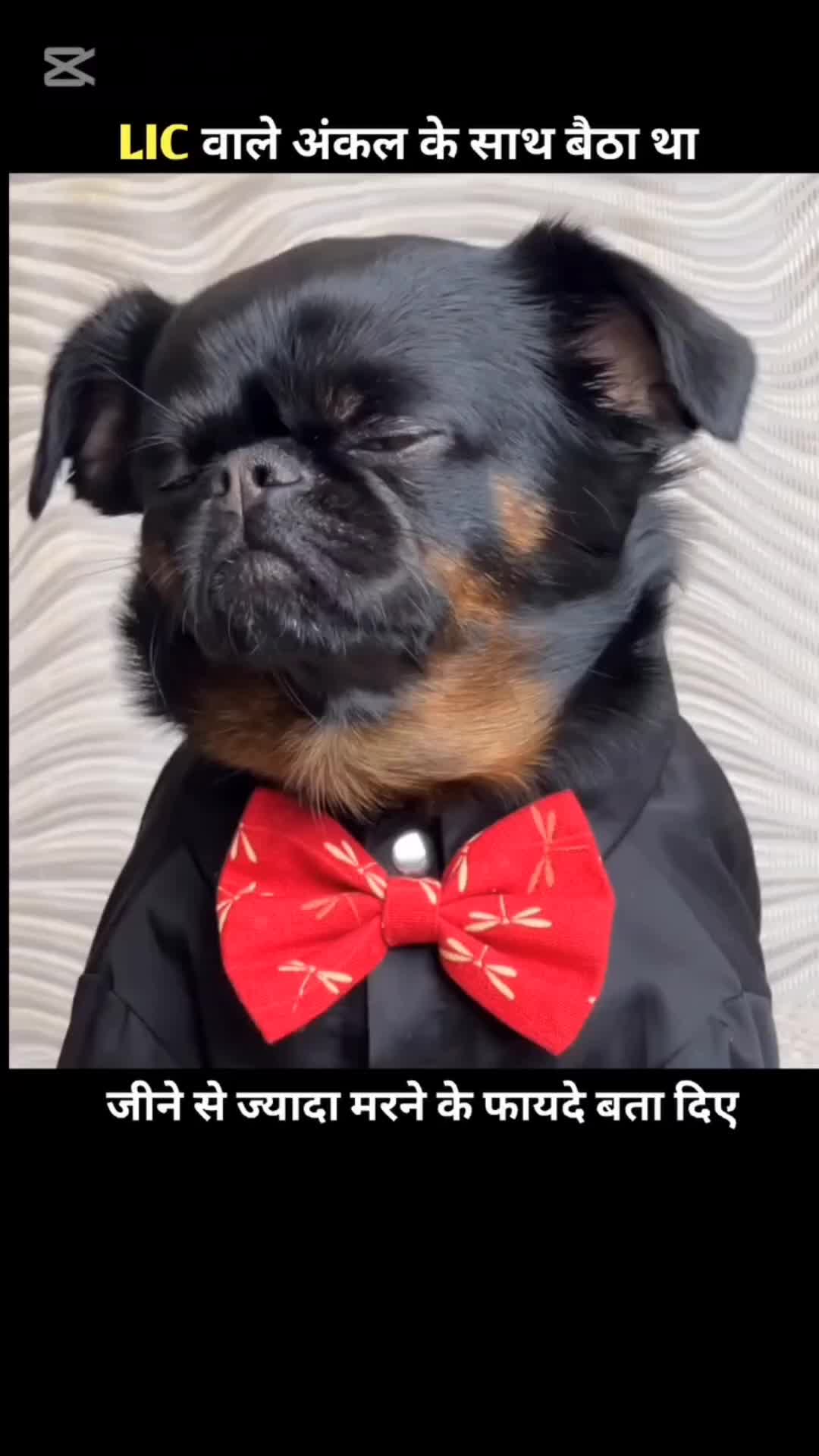 @funnymem
