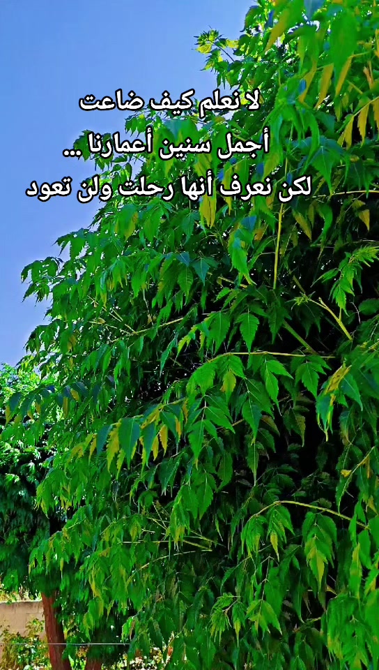 @عبير الورد🧡🍂