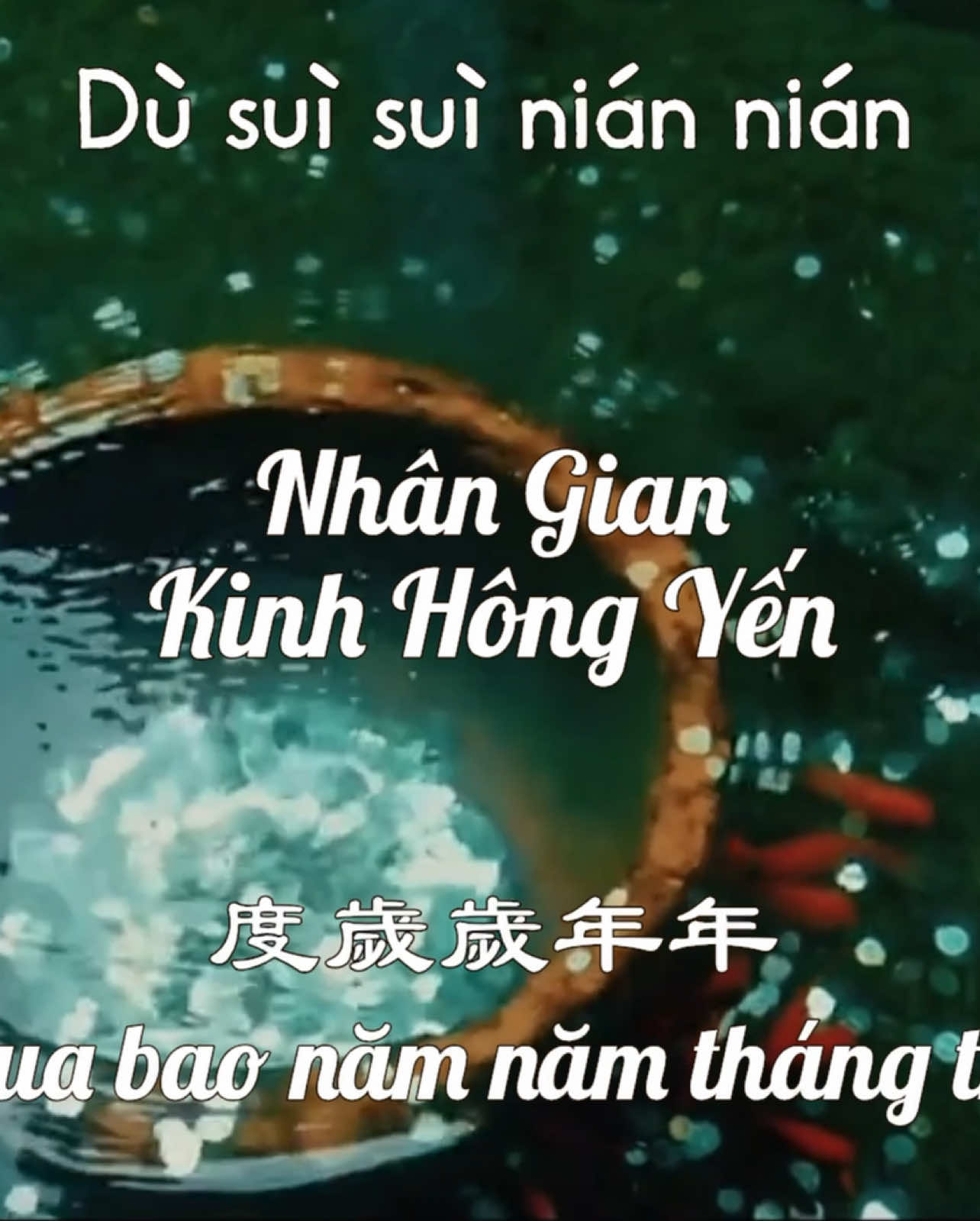 @Cố Mộng Quán 故梦馆