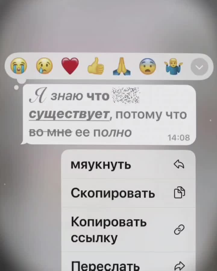 @⋆˚𝙖𝙢𝙚𝙧𝙞𝙘𝙖𝙣 𝙥𝙧𝙞𝙢𝙚@