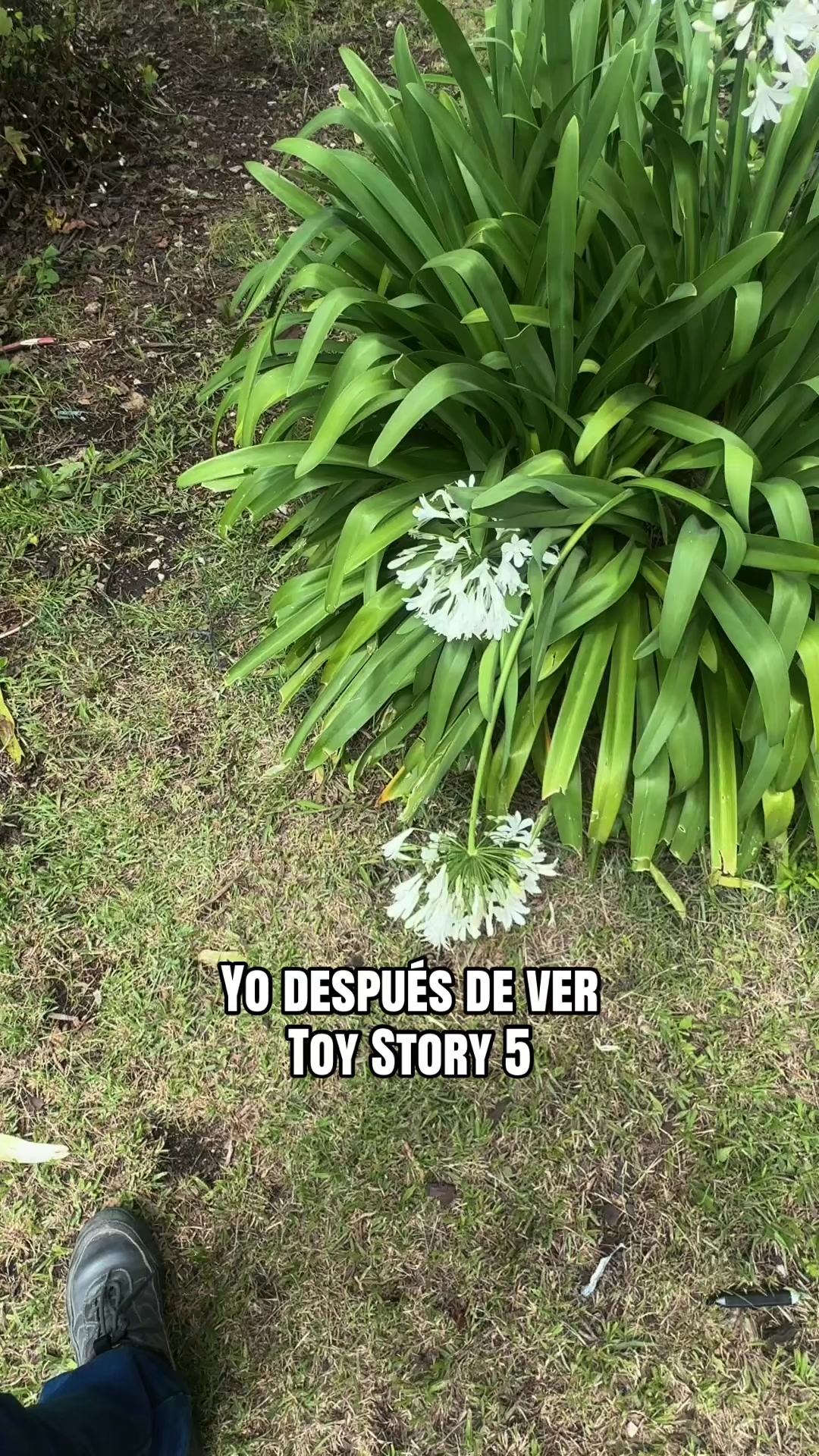 @Mexico