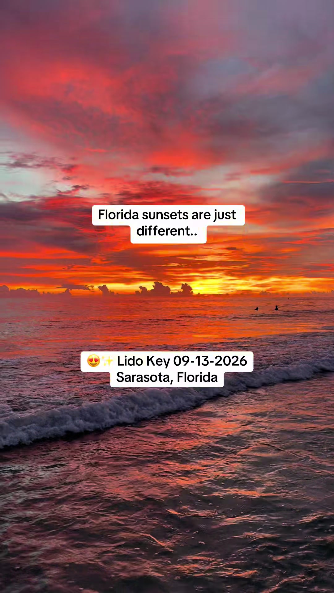 @lily || fl lifestyle & travel