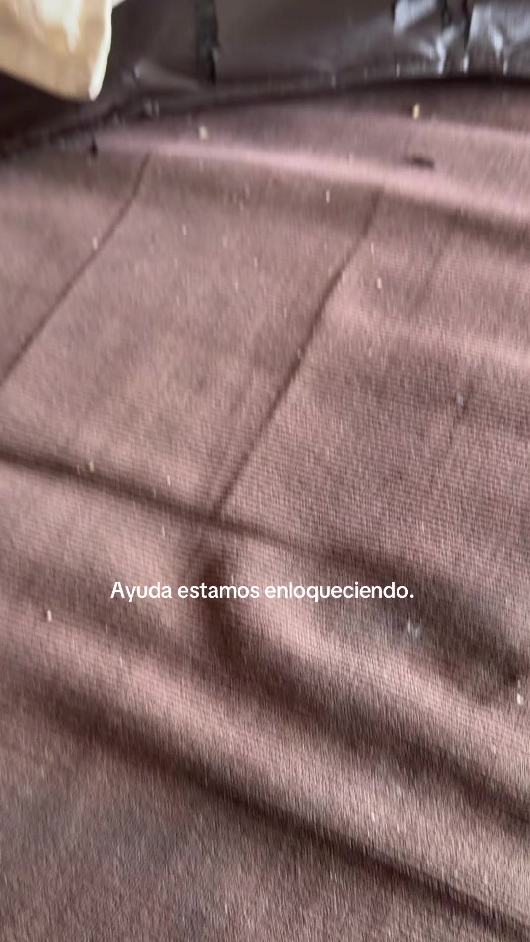 @candesteven