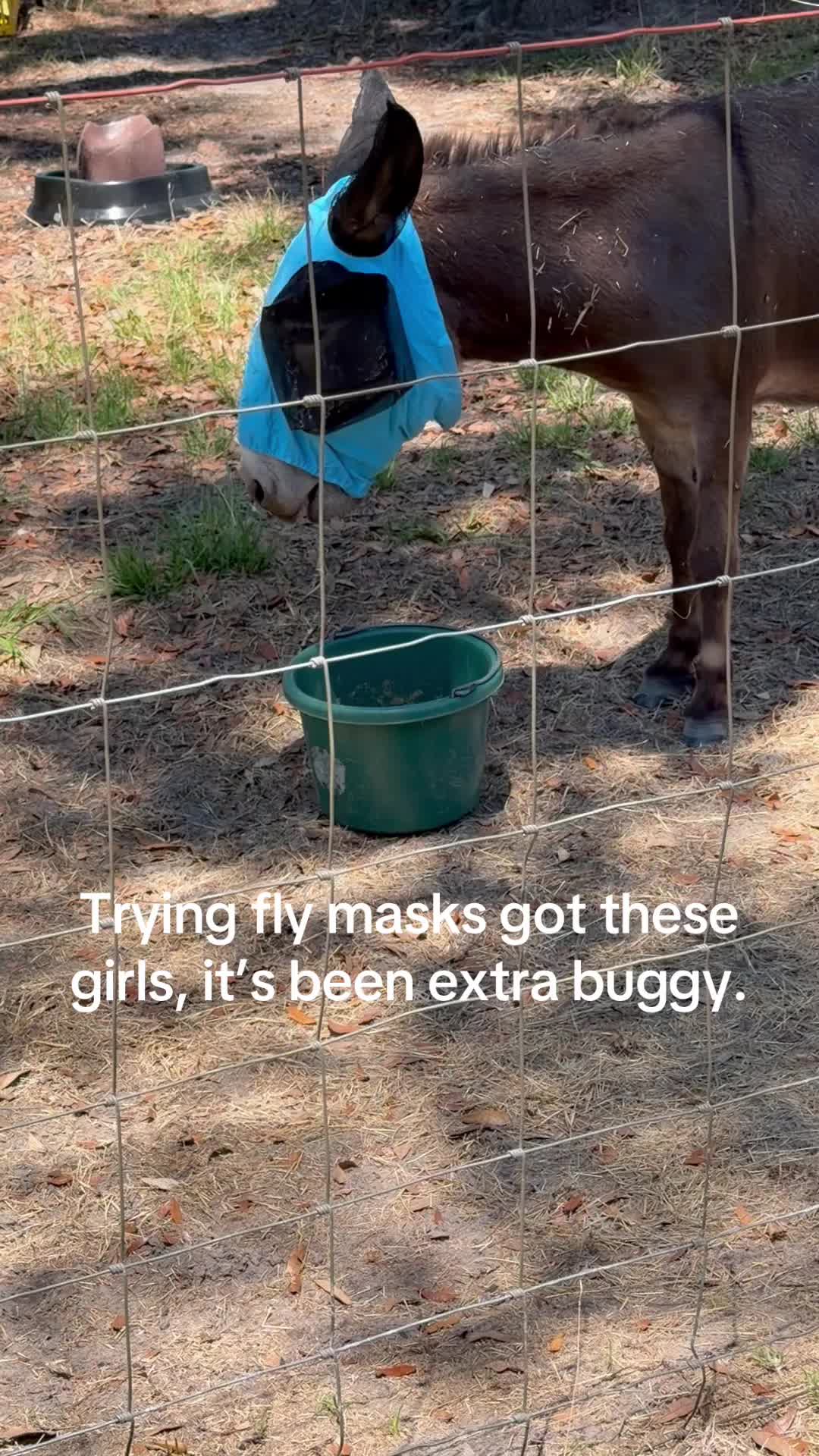 @Kelley Farms