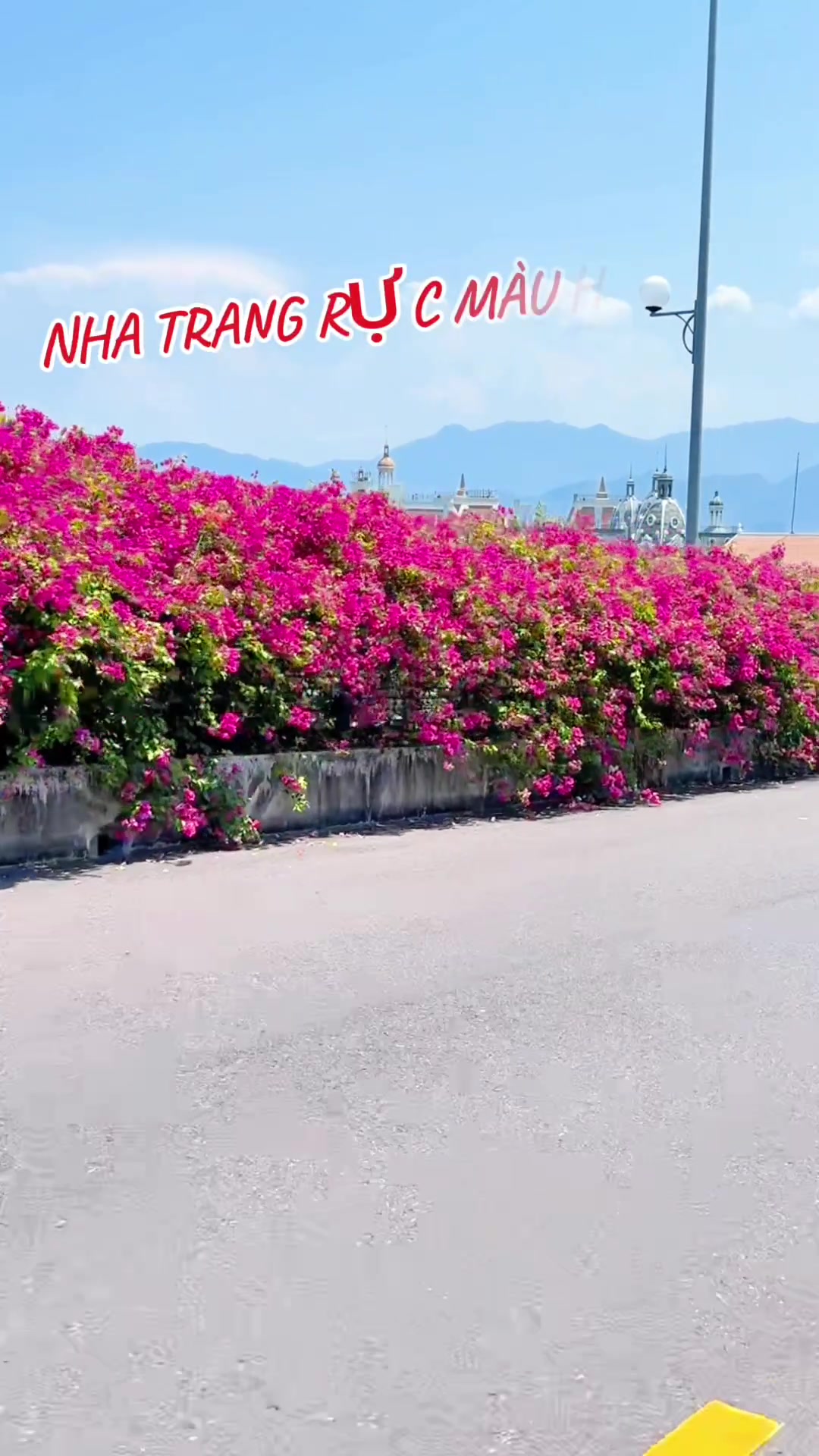 @Thanh đi Nha Trang