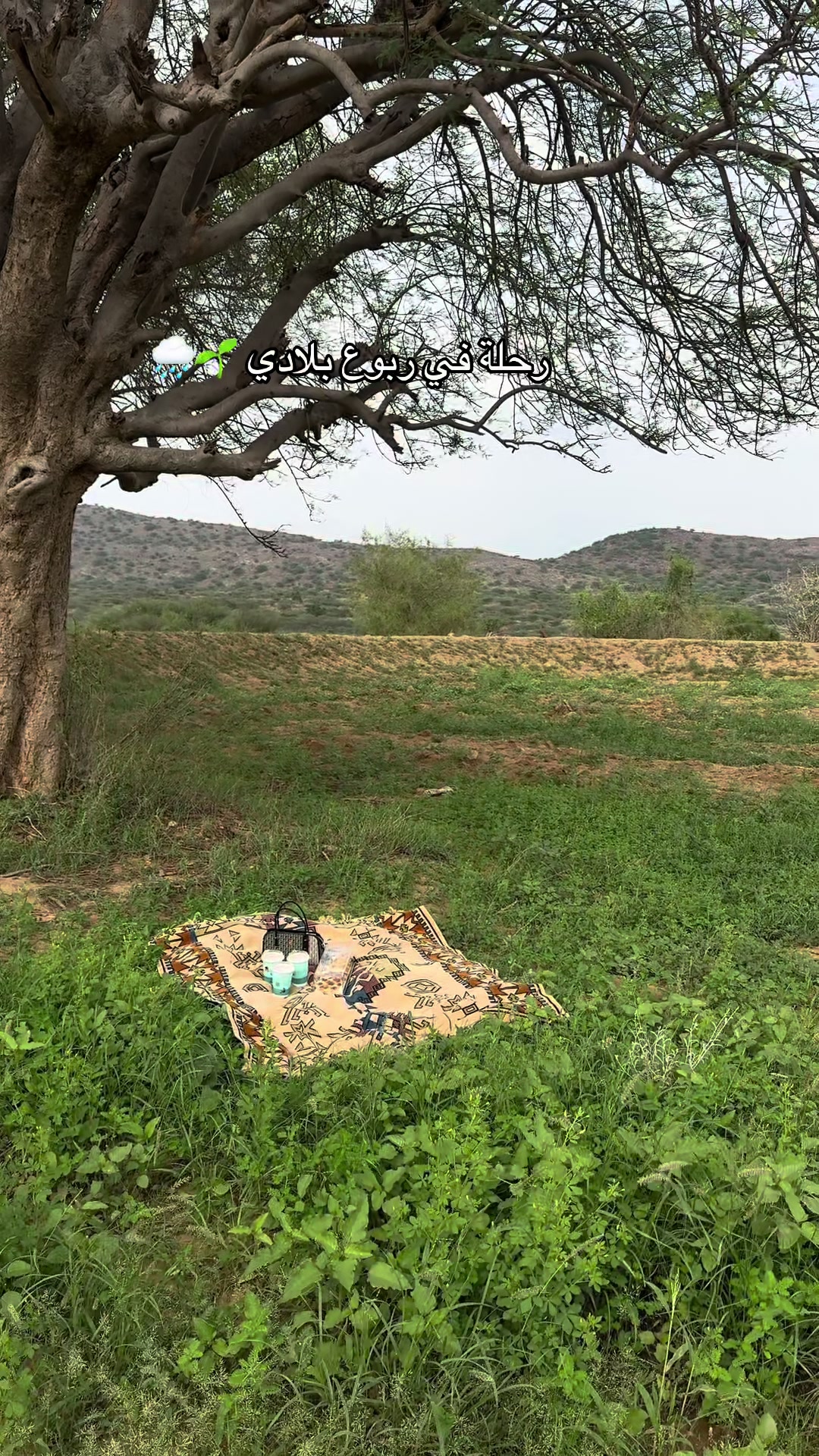@جديد جازان|مها🦌