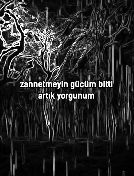 @damar_16