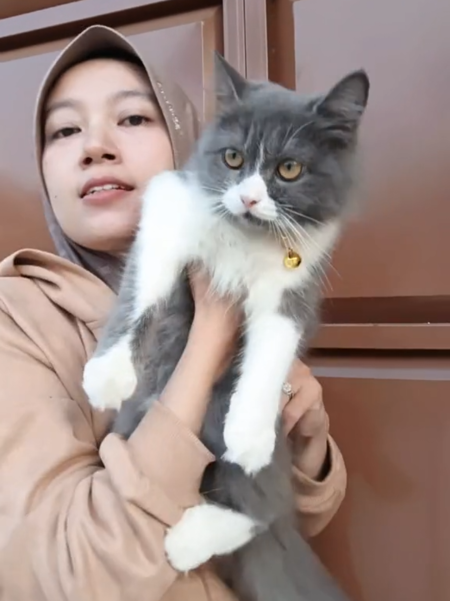 @Yuyun Idia