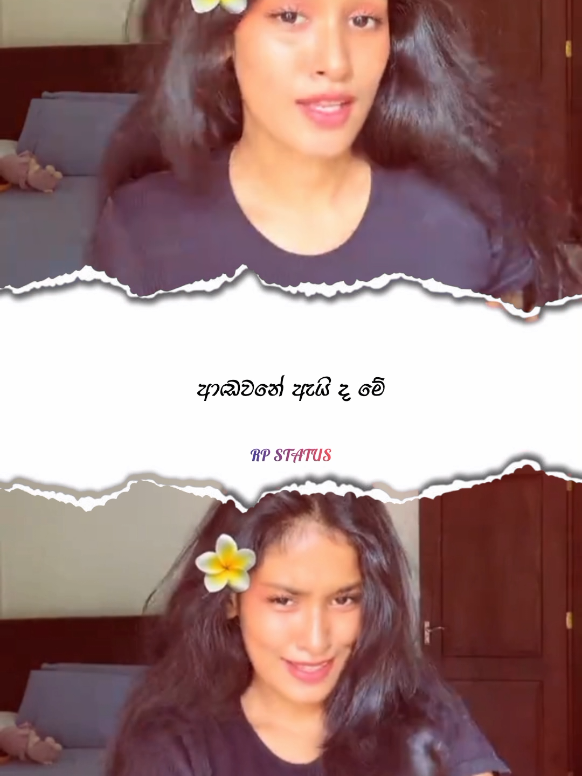 @||> RP 🇱🇰🐰❤️ <||