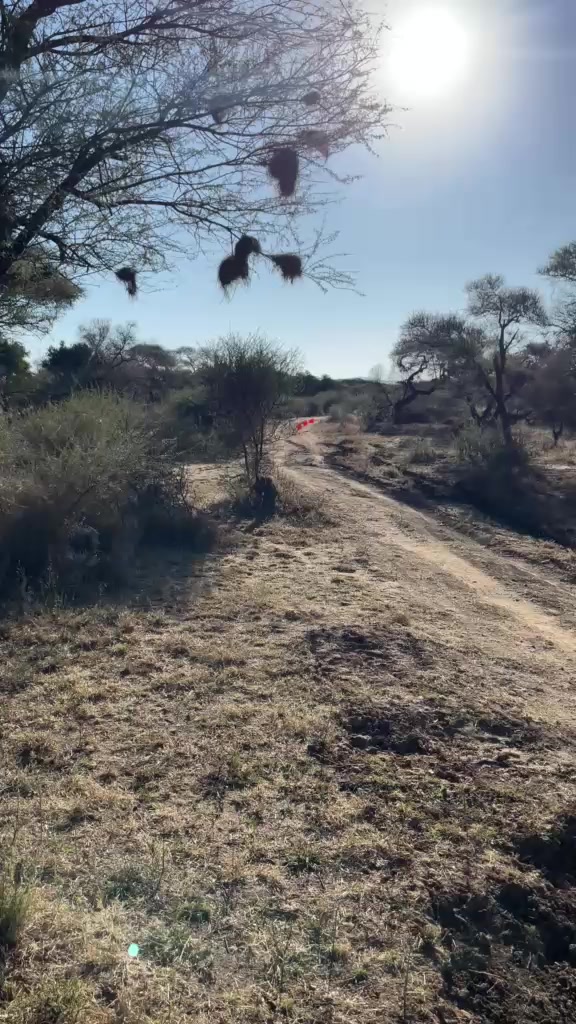 @Larona Kgwefane