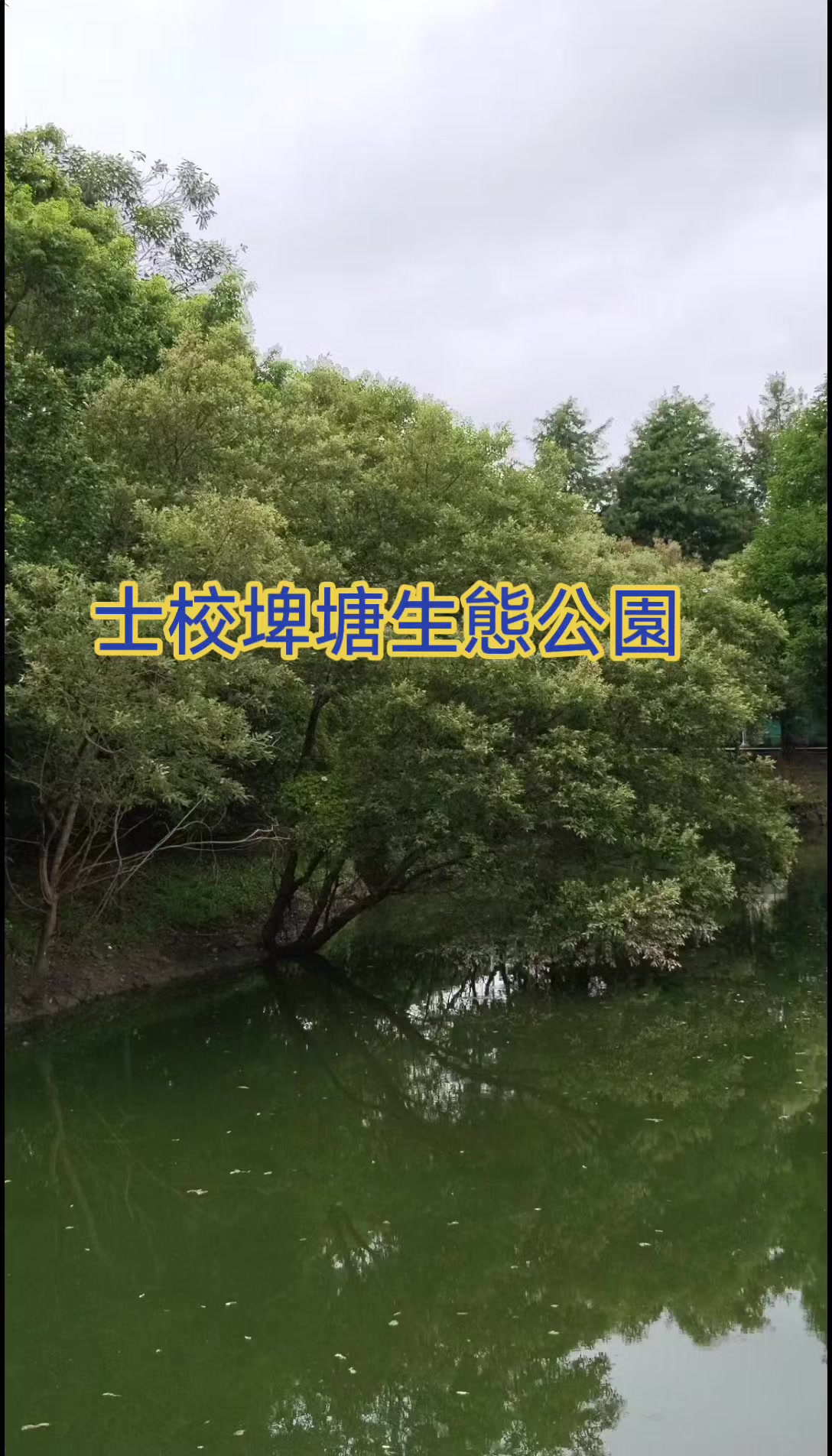 @浮生若夢