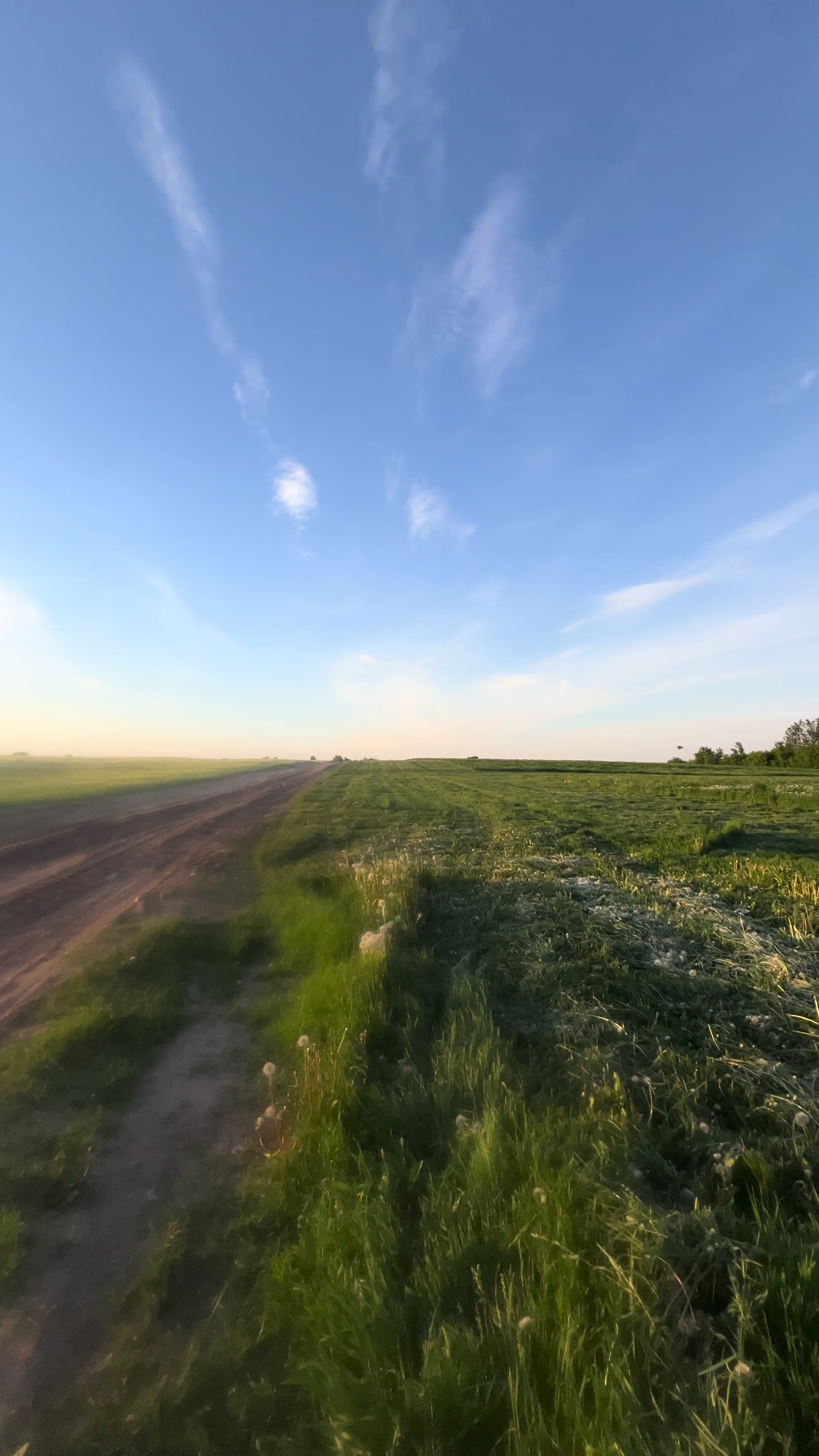 @Юлия