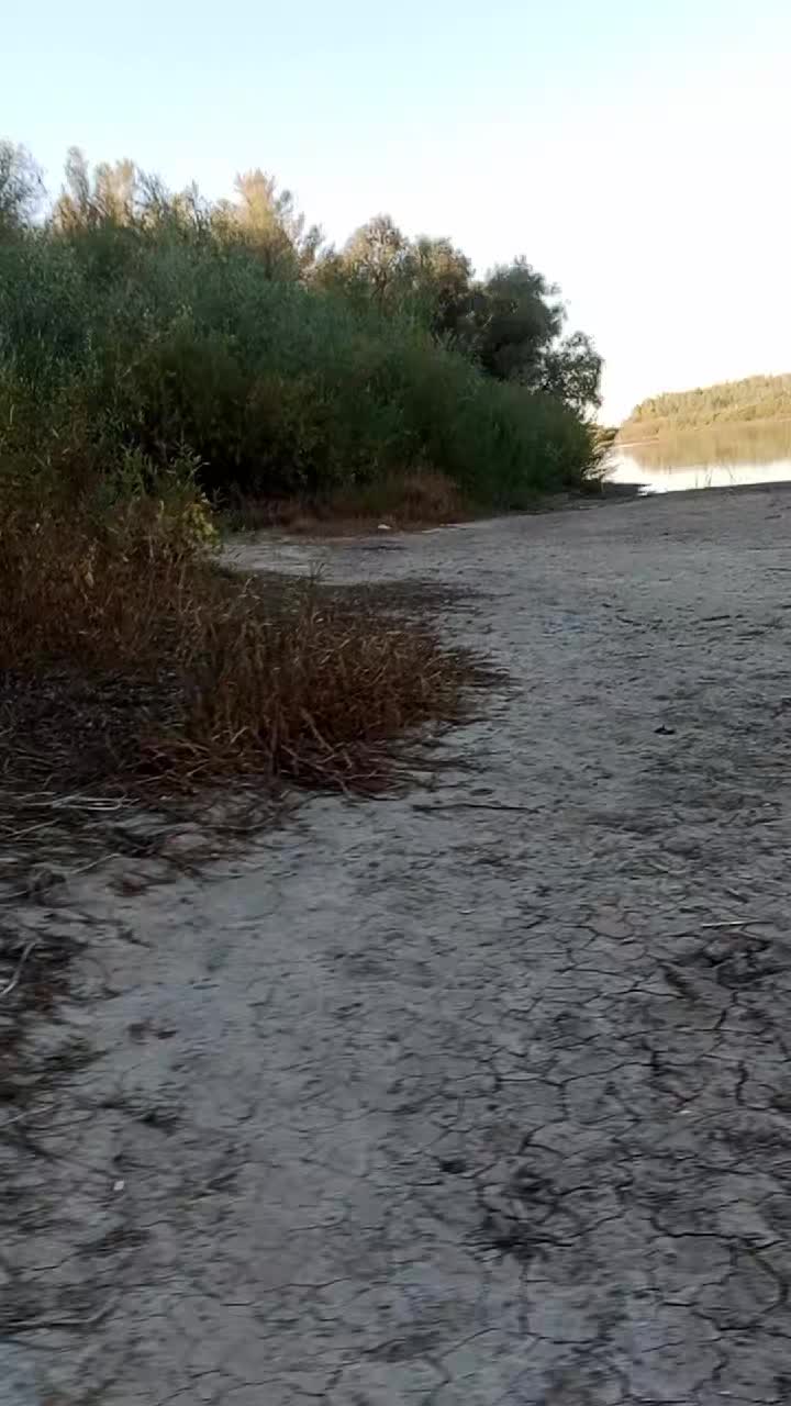 @Николай