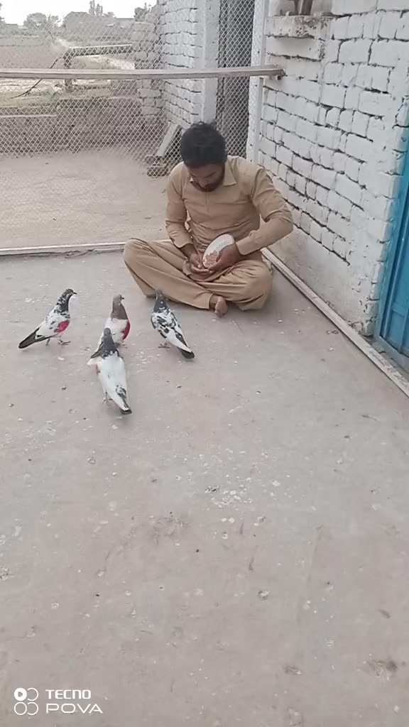 @Sadqi Gondl