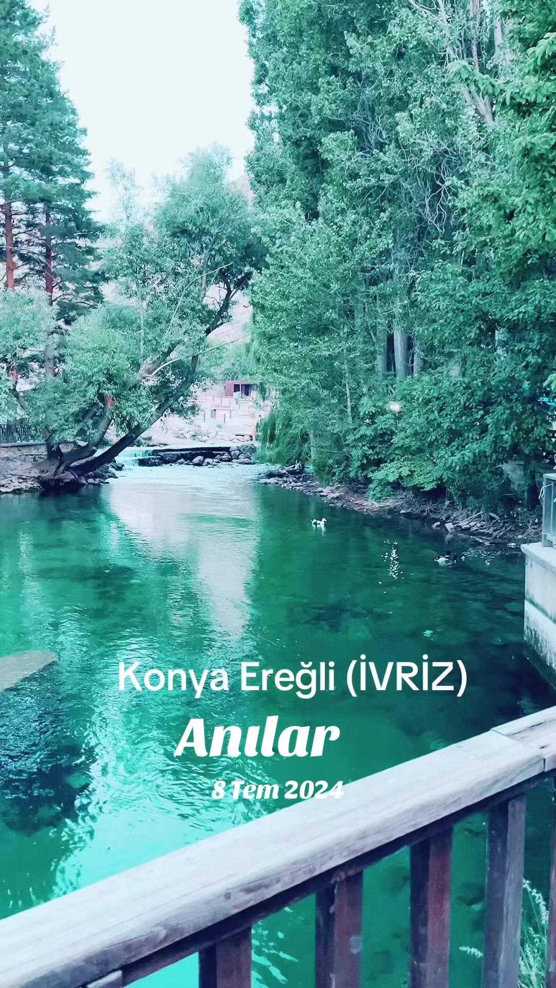 @Y&hearts;a&hearts;s&hearts;e&hearts;m&hearts;i&hearts;n&hearts;