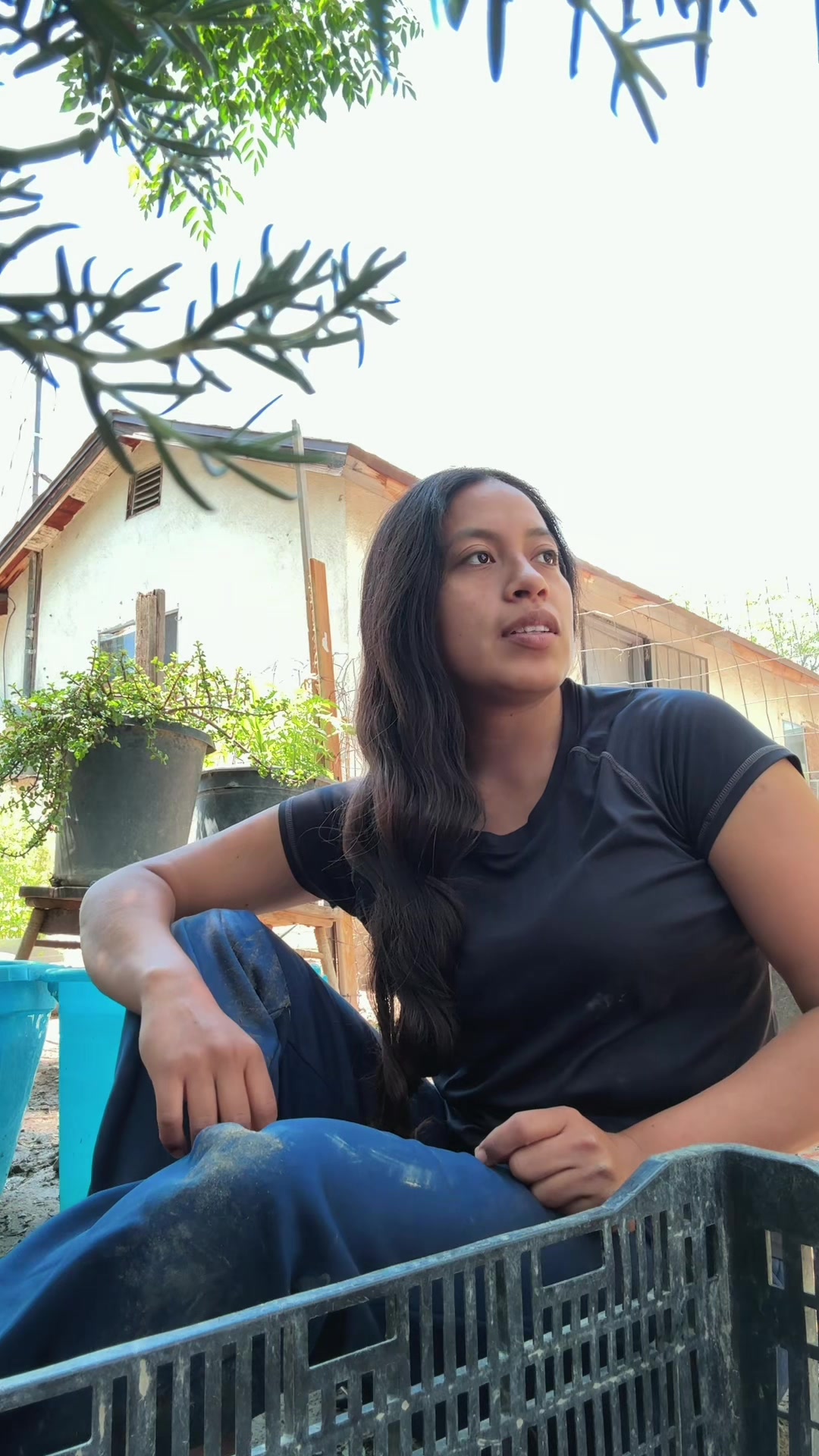 @Cecilia Vasquez
