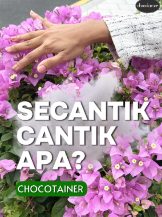 @Chocotainer Sdn. Bhd.