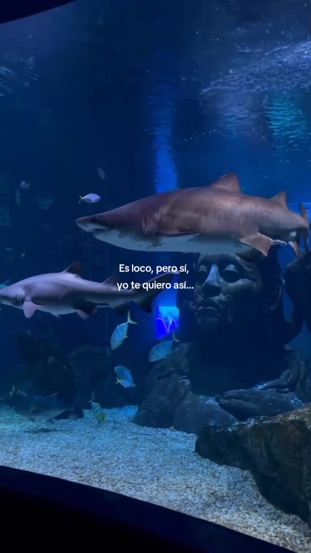 @Mariana