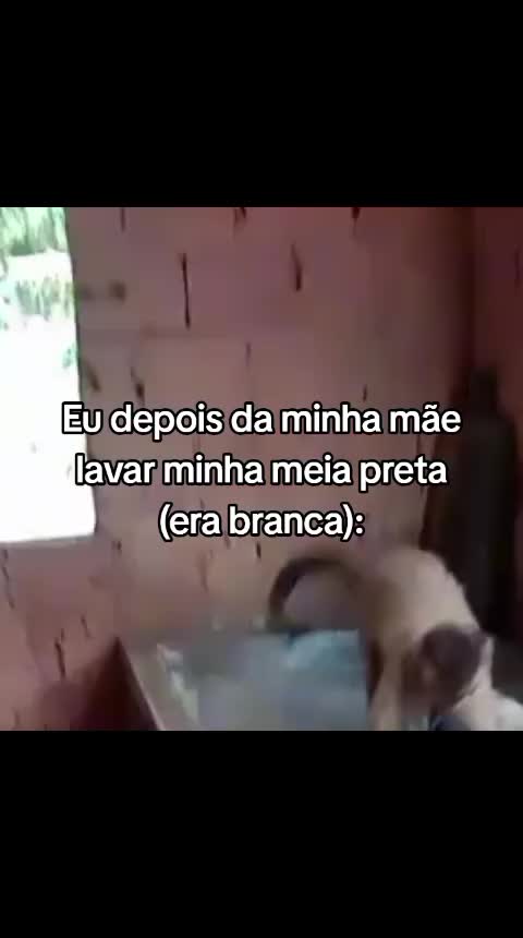 @𝐋𝐮𝐥𝐮⋆𓍢ִ໋