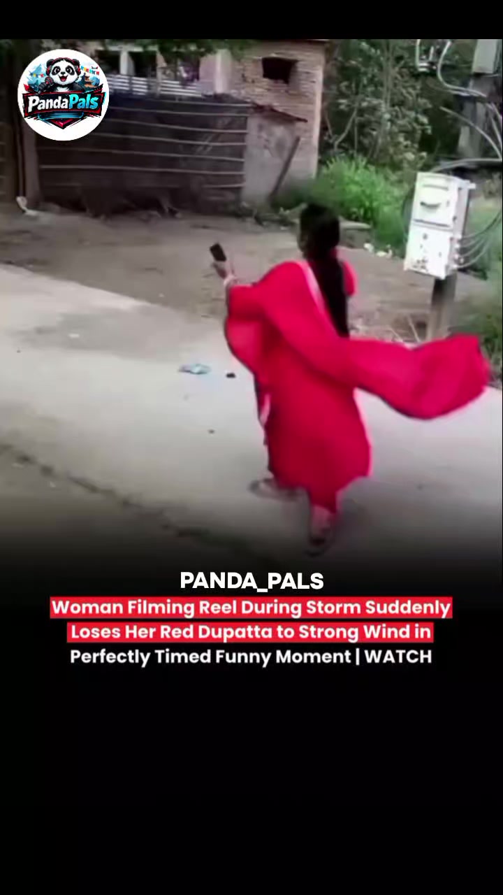 @PandaPals