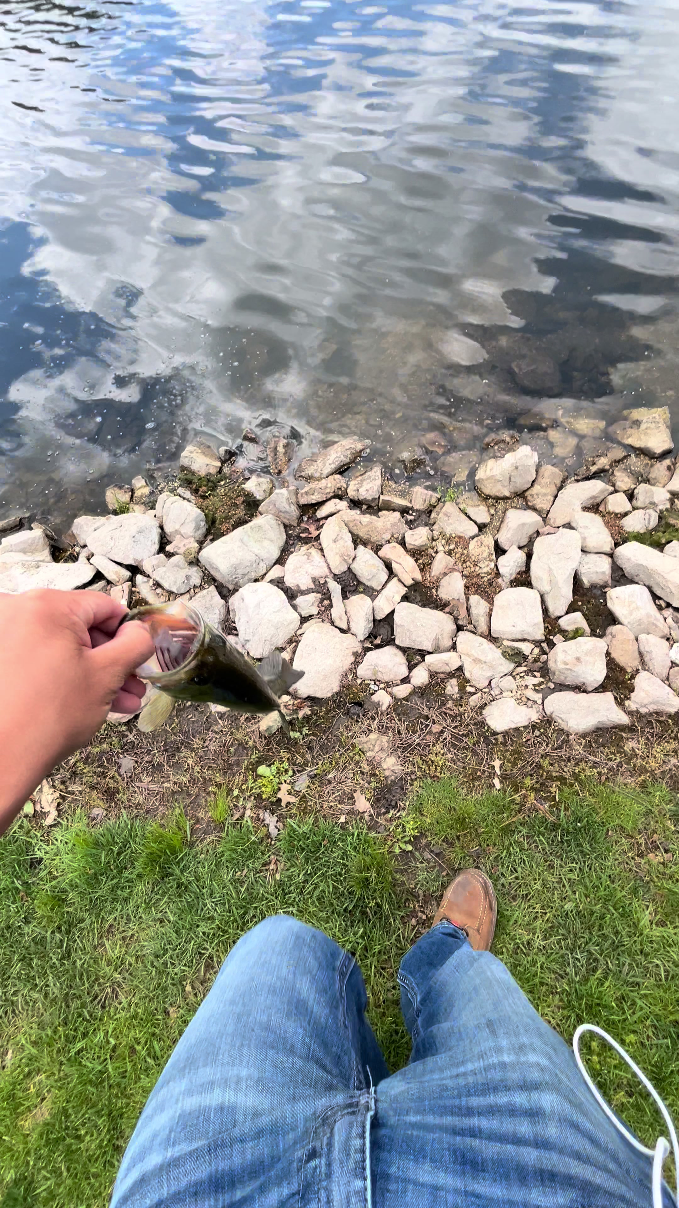 @Fish O&rsquo;clock
