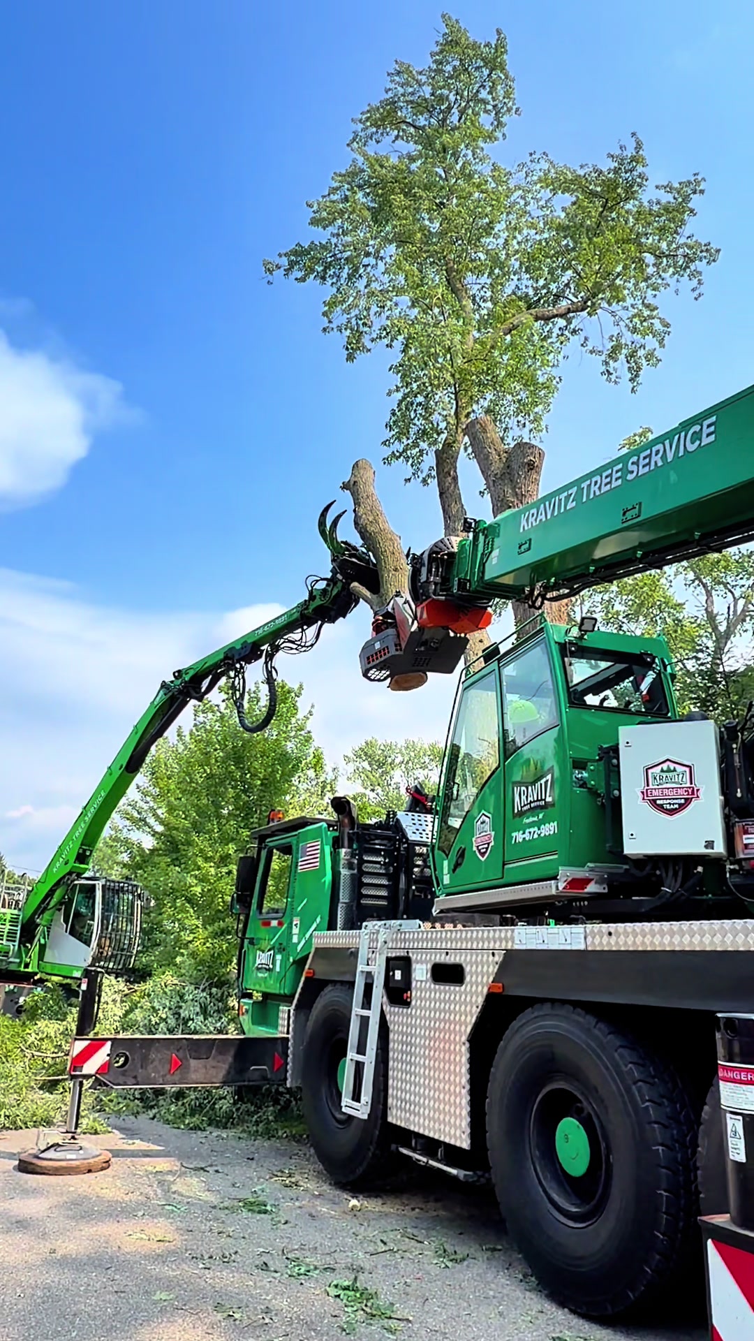 @kravitztreeservice