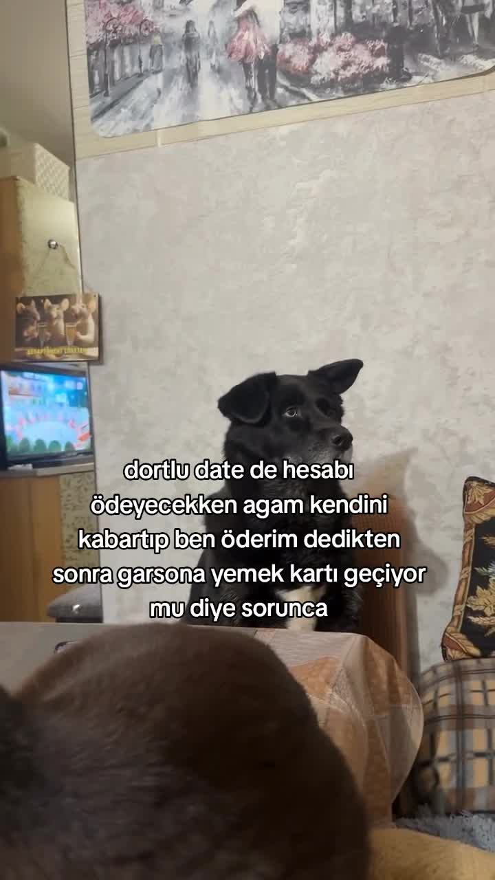@rolland